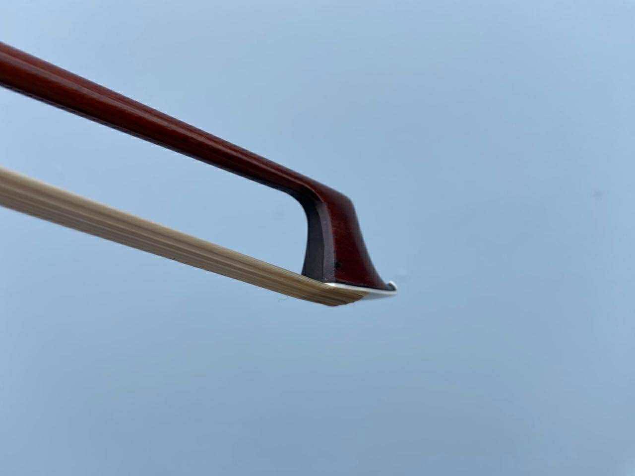Head profile and pernambuco stick